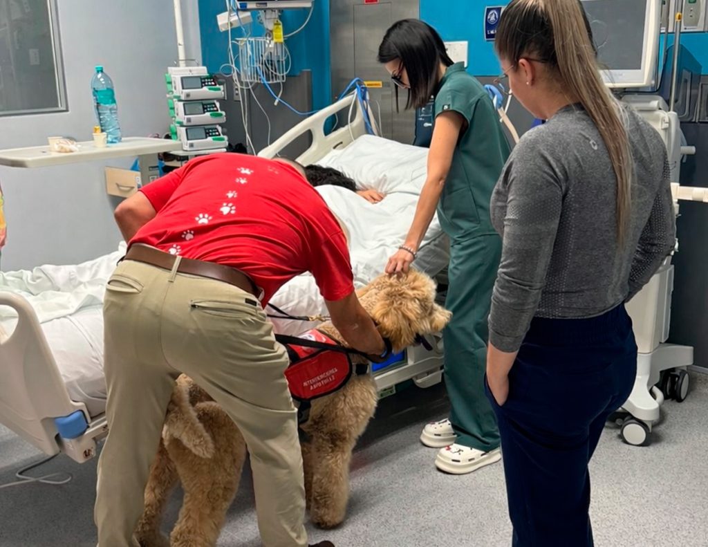 Terapia asistida con mascotas en la UCI del Hospital Monseñor Sanabria en Costa Rica
